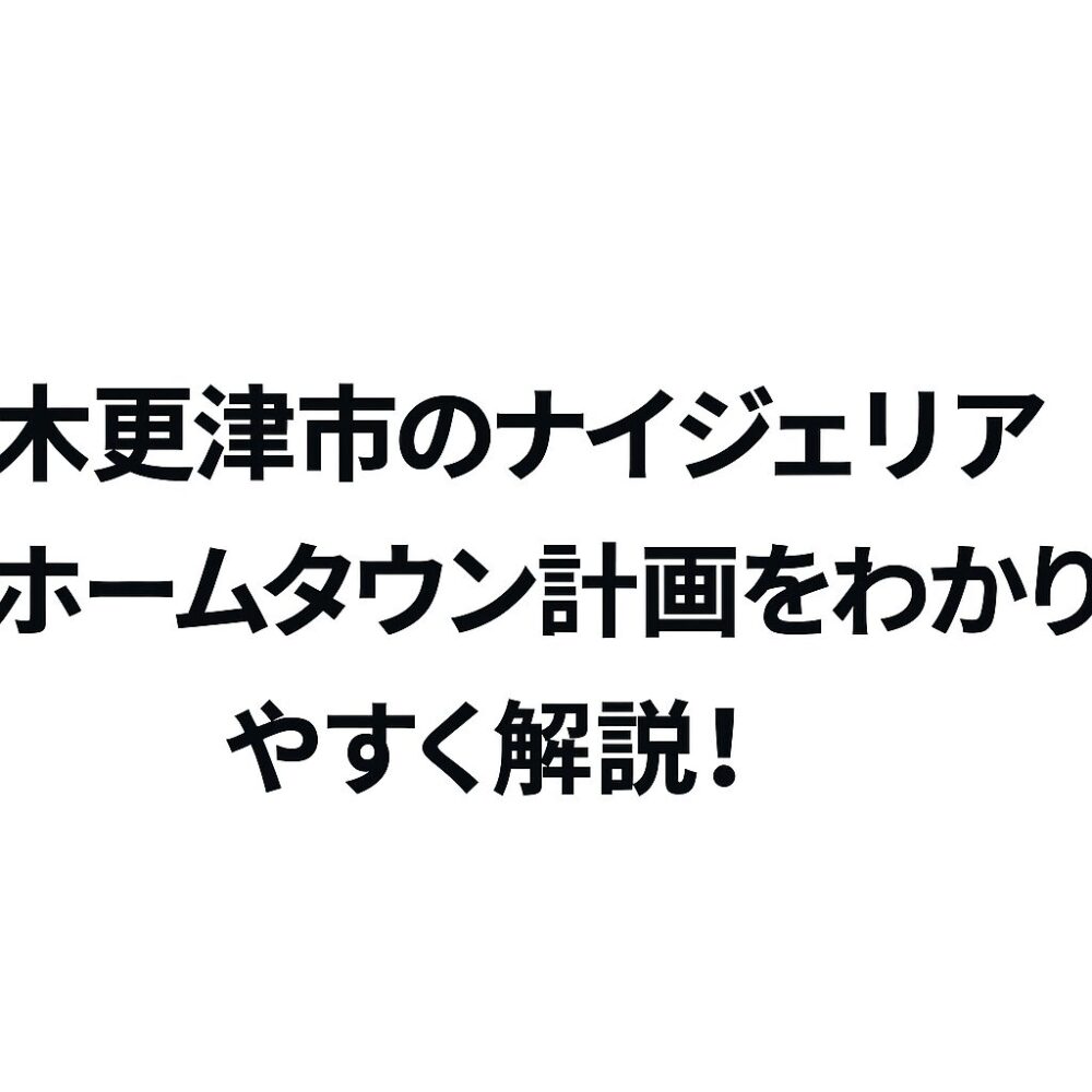 木更津市　ナイジェリア
